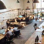 How to cut costs for "new born" businesses