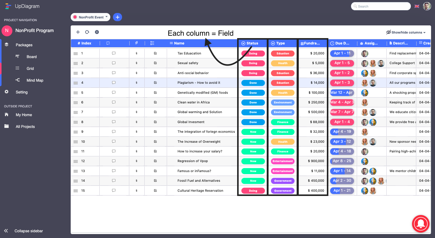 Custom Fields feature in project management