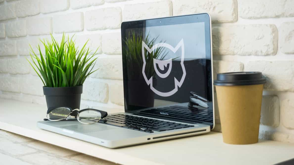 Benefits of potted plants on the desk